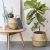 Cesta Plegable con Asa de Seagrass Natural Ideal para Hogar o Jardín